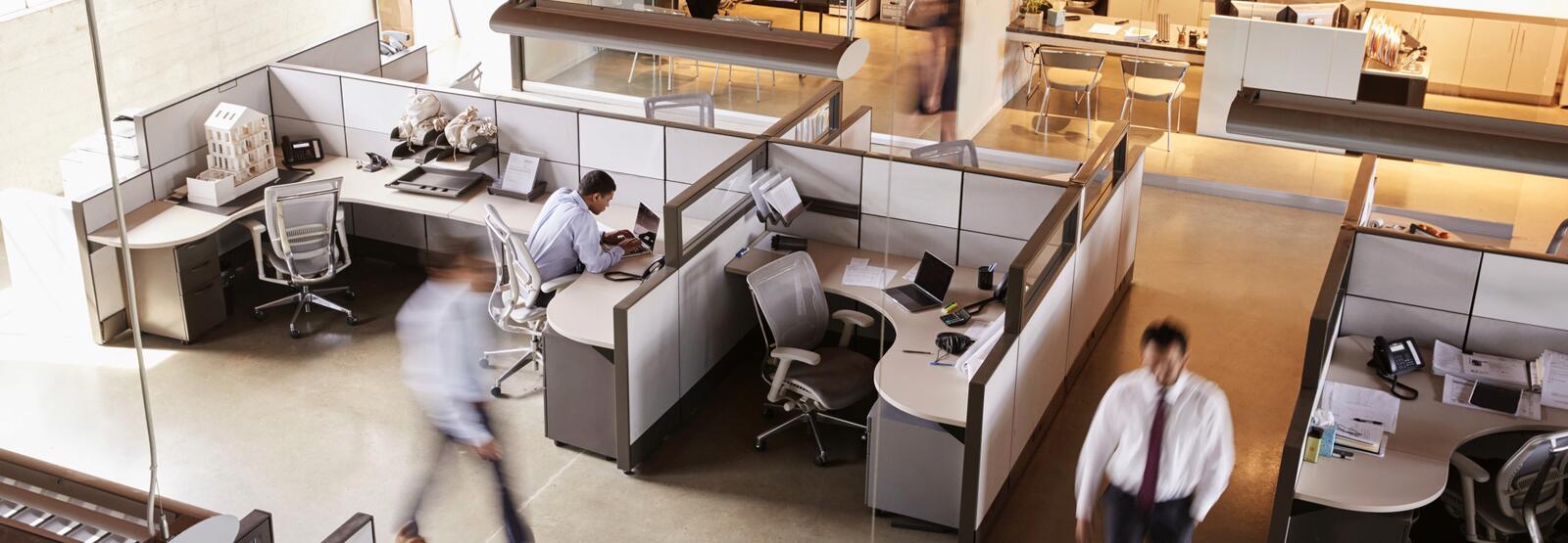 Office with Cubicles