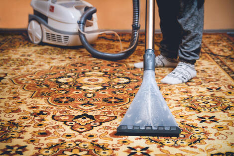 Area rug being cleaned by a professional grade rug cleaner