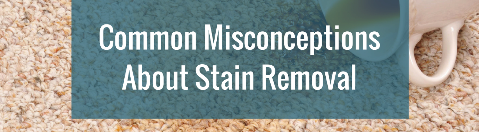 14 Common Misconceptions About Stain Removal